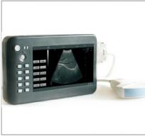 Animal B ultrasound Animal B ultrasound